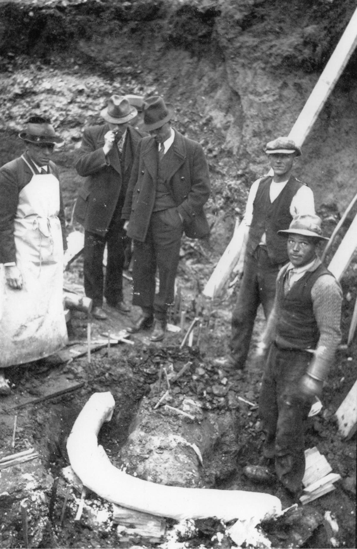 88 LET OD ODKRITJA MAMUTA